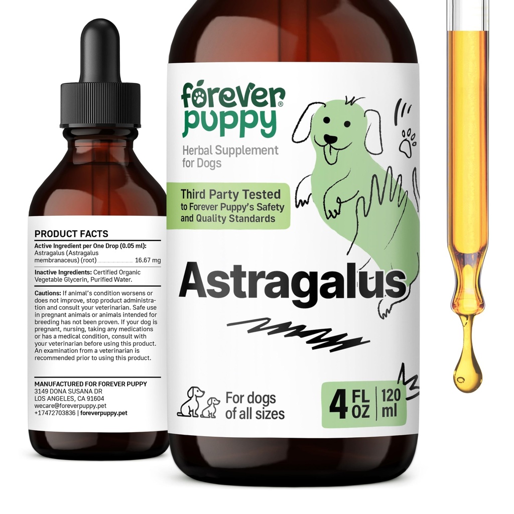 犬のための永遠にパピーアストラガルスルートドロップ - 犬の免疫サポートのためのAstragalus Membranaceusエキス - 免疫&ジョイフルペットケアのためのハーブペット液体サプリメント - 4オンス