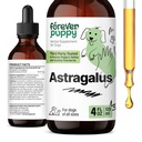 犬のための永遠にパピーアストラガルスルートドロップ - 犬の免疫サポートのためのAstragalus Membranaceusエキス - 免疫&ジョイフルペットケアのためのハーブペット液体サプリメント - 4オンス