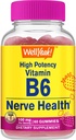 WellYeahの高い効力のビタミンB6のグミ - 神経の健康、認知機能、気分調整、免疫サポート、心血管の健康を促進 - ビーガン、非GMO、グルテンフリー - 60カウント