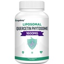 Orgabay Liposomal QuercetinのPhytosome 1600のmg、Bromelain 200mg、亜鉛30mg、ビタミンCのTurmeric 40のmg、最も高い吸収、Quercetinの複合体、60のSoftgels