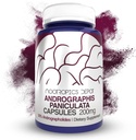 Andrographis の paniculata のカプセル | 200mg | 60 の計算 | 50% Andrographolides | サポート 免疫機能 | サポート 細胞機能