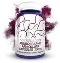 Andrographis の paniculata のカプセル | 200mg | 60 の計算 | 50% Andrographolides | サポート 免疫機能 | サポート 細胞機能