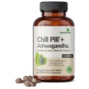 Futurebiotics Chill Pill + Ashwagandha, Rhodiola, St. John's Wort, & L-Theanine - Non-GMO, 250 ベジタリアンタブレット