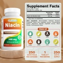 最高のナチュラルナイアシン500mg 250錠フラッシュ - また、コールされたビタミンB3(250カウント))
