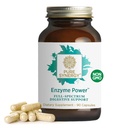 PURE SYNERGY 酵素パワー | 消化酵素サプリメント | 消化器・乳液・セラピターゼ | 消化器・腸の健康(90カプセル)用