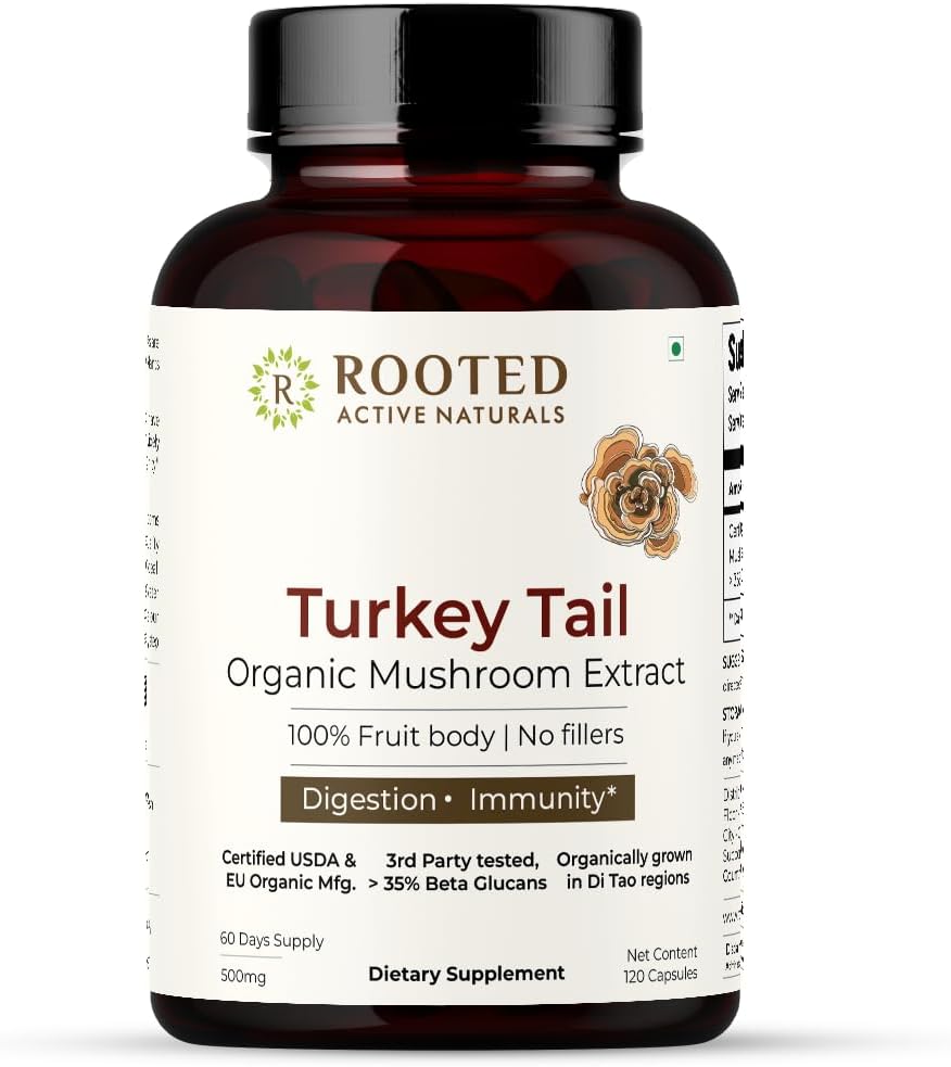 ROOTED活動のトルコの尾きのこのエキスのカプセル 中心の健康、圧力救助、肝臓。USDAの有機性、35%ベータ グルカン、証明された有機性(120のカプセル)