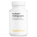 Supersmart - 1日あたりのパルActinサプリメント300mg(高強度) - Andrographis Paniculata   非GMO&グルテンフリー - 90ベジタリアンカプセル