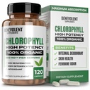ベネボレントクロロフィルカプセル350mg - 100%ナチュラル+超クロロフィル20xエネルギーブースト、免疫サポート、内部消臭剤、皮膚健康、非GMO、120カプセルのための効力集中
