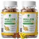 (2 パック) 9 に 1 ルンクレンジング&デトックスのためのムレイン ・ グミーズ, 余分な強度ムレイン リーフ エキス w/Quercetin, Bromelain, 呼吸のためのエルダーベリー & マーシュマロ, 免疫 & 消化, ビーガン,120 カウント