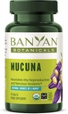 Banyan Botanicals Mucuna Pruriens – 有機ハーブタブレット – 活性化, ヘルシーな神経と生殖システムをサポート* – L-Dopaの天然源 – 90錠 – GMO非持続的に供給ビーガン