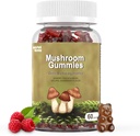 きのこのグミーズ10ブレンド - ライオンズ・マネ、チャガ、Reishi、Cordyceps 2500mg、記憶および焦点のための頭脳の補足が付いているマッシュルーム
