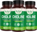 ネストナチュラルズ コリン ビットレート 500mg | 高効力コリンサプリメント | 認知性能と肝臓機能をサポート | 100% ビーガン&非GMO | (3-パック)