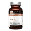 AHCC 50+ は免疫サポートのための AHCC および Lac-Shield を特色にします
