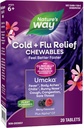Nature's Way Cold+Fluリリーフ、Umcka、Severity、Multi-Symptomリリーフ、ホメオパシー、フェニレフリンフリー、非眠気、ベリーフレーバー、20Chewableタブレット(パッケージ5月Vary)