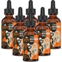 Liposomalのきのこの複雑な低下2000のMG - 20の有機のきのこのエキス-免疫、認知および記憶のための高度の液体の方式-ライオンsのマネの補足、Reishi、Cordyceps、Chaga、180のサービング