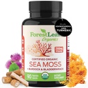 ForestLeafオーガニックアイリッシュシーモスカプセル | 2100mg 生のシーモス ピルス アドバンストサプリメント スーパーフード + ブルドック, 消化器用ブラードラック, 呼吸器, 免疫健康 | 90 ビーガン有機海苔キャップ