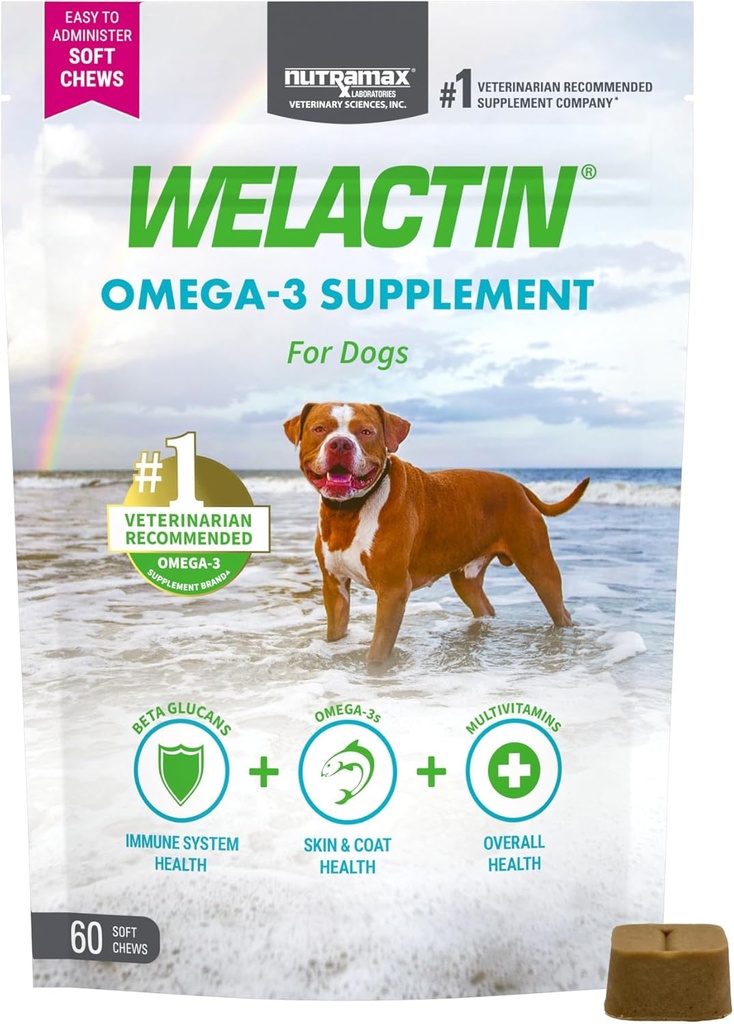 Nutramax Welactin オメガ 3 犬、皮膚およびコートの健康の補足のための魚油, プラス免疫と全体的な健康, プレミアムオメガ 3 脂肪酸, 犬のためのマルチビタミン, 柔らかい咀嚼, 60 カウント