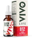 Vivoの生命-ビタミンB12の複合体、高い効力の健康の補足、オレンジ味の液体の低下、60ml、60のサービング