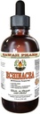 Echinaceaアルコールフリー液体エキス、有機Echinacea(Echinacea Purpurea)ドライハーブグリセライトハワイファームナチュラルハーブサプリメント4オンス