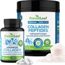 ForestLeaf Collagen Supplements Bundle - 2-in-1 Hydrolyzed Collagen Peptides Powder and Collagen Pills - 草Fed Bovine Collagen for Women and Collagen for Men - 草Fed Bovine Collagen for Women and Collagen for Men - 草Fed Bovine Collagen For Women and Collagen for Men   樹種   樹種   樹種   樹種   樹種   樹種   樹種   苗木   苗木   苗木   苗木   苗木   苗木   苗木   苗木   苗木   苗木   苗木   苗木   苗木   苗木   苗木   苗木   苗木   苗木   絵   絵   絵   絵   絵   絵   絵   絵   絵   絵   絵   絵   絵   絵   絵   絵   絵   絵   絵   絵   絵   絵   絵  