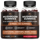 EFFECTIVE NUTRAマッシュルーム 2500mg | 10 Blend w/Lions Mane, Reishi, Chaga, Cordyceps & More | フォーカス, メモリ, 免疫, エネルギー | ナチュラルベリー風味のサプリメント | ビーガン, アメリカ製 (2パック)