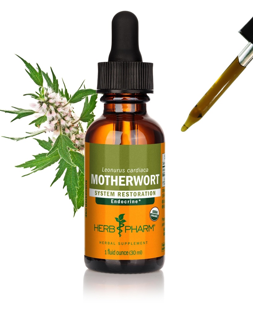 Herb PharmはEndocrineシステム サポートのための有機性マザーワートの液体のエキスを- 1 Ounce証明しました
