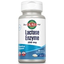 KALラクターゼ酵素250mg、Lactose Intoleranceのための健康な消化器サポート、液体に満ちたActivGelsは大豆なしで、250 FCCの単位、30のサービング、60のSoftGels作りました