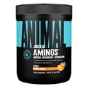 アニマル ジュース アミノ 酸 - BCAA パウダー EAA マトリックス プラス 電解液と海の塩 いつでも回復と改善された性能、オレンジ味、30 のサービング