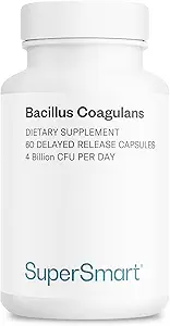 Supersmart Bacillus Coagulans Probiotic 4 Billion CFU/日(高吸収) - Lactobacillus Sporogenes サプリメント | 非GMO&グルテンフリー - 60 遅延解放カプセル