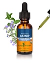 Herb PharmはNervousシステム サポート、1 Fl Ozを Calmingのための有機性Catnipの液体のエキスを証明しました