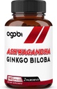 Ginkgo Bilobaのサプリメント - 免疫システム、エネルギー生産、メモリヘルス&フォーカスのためのスーパーエキスフォーミュラ - 240 Veggieカプセル