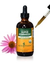 ハーブ Pharm は活動的な免疫システム サポートのための有機性極度の Echinacea の液体のエキス- 4 つの Oz を証明しました