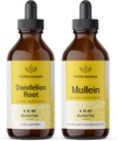 HERBAMAMA の草の液体はキット- Dandelion の根および Mullein の葉のチンチャーの束-ビーガン、非 GMO の砂糖及びアルコールなし- 2 のパックを落とします