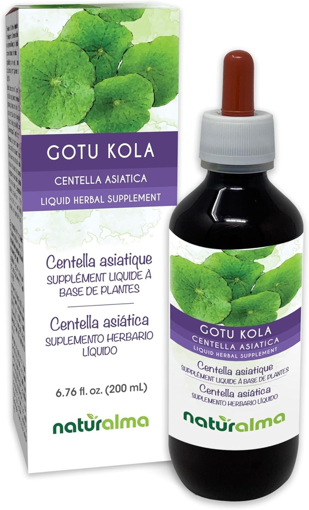ナチュラルマGotu kola (Centella asiatica) ハーブアルコールフリーのチンキ - 6.76 fl oz 液体抽出物をドロップ - ハーブサプリメント - ビーガン