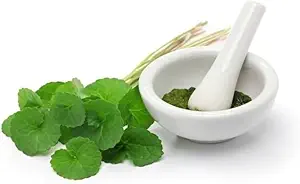 (パッケージ 2) 有機性Centella Asiaticaの粉(50g)