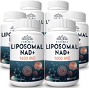 1600のmgのLiposomal NADの補足、98%の純粋なNAD+の補足、優秀な吸収、別名でNicotinamideのRibosideまたはNADHへの代わりは老化の防衛、エネルギー、長寿、360のSoftgelsのためのNAD+を後押しします
