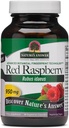 Nature's Answer Red Raspberry Leaf | 栄養補助食品 | 消化器用健康を促進 | ノンGMO・ヴィーガン・コザー認定 | ベジタリアンカプセル 90ct