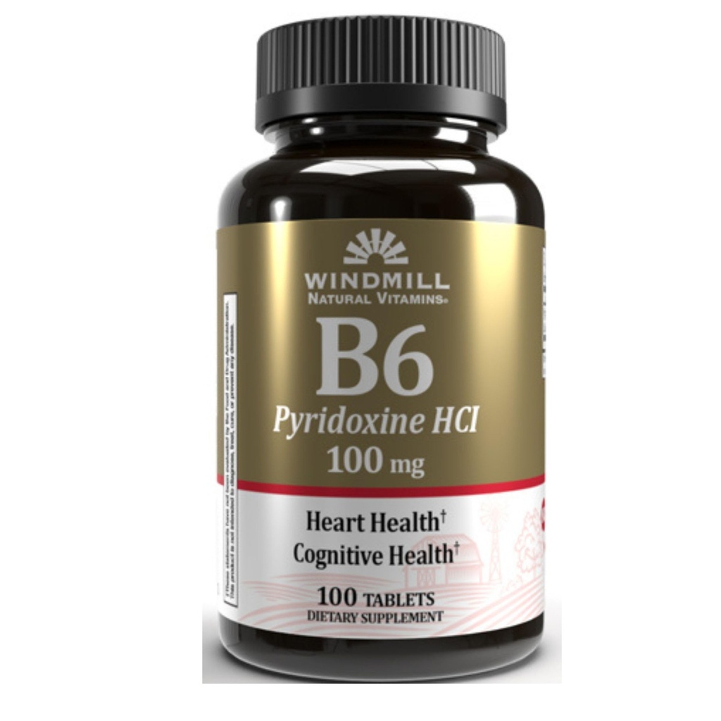 VIT B-6 TABS 100 MG ミル 100