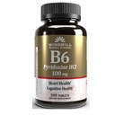 VIT B-6 TABS 100 MG ミル 100