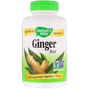 Nature's Way Ginger Root 550 mg, カプセル 180ea