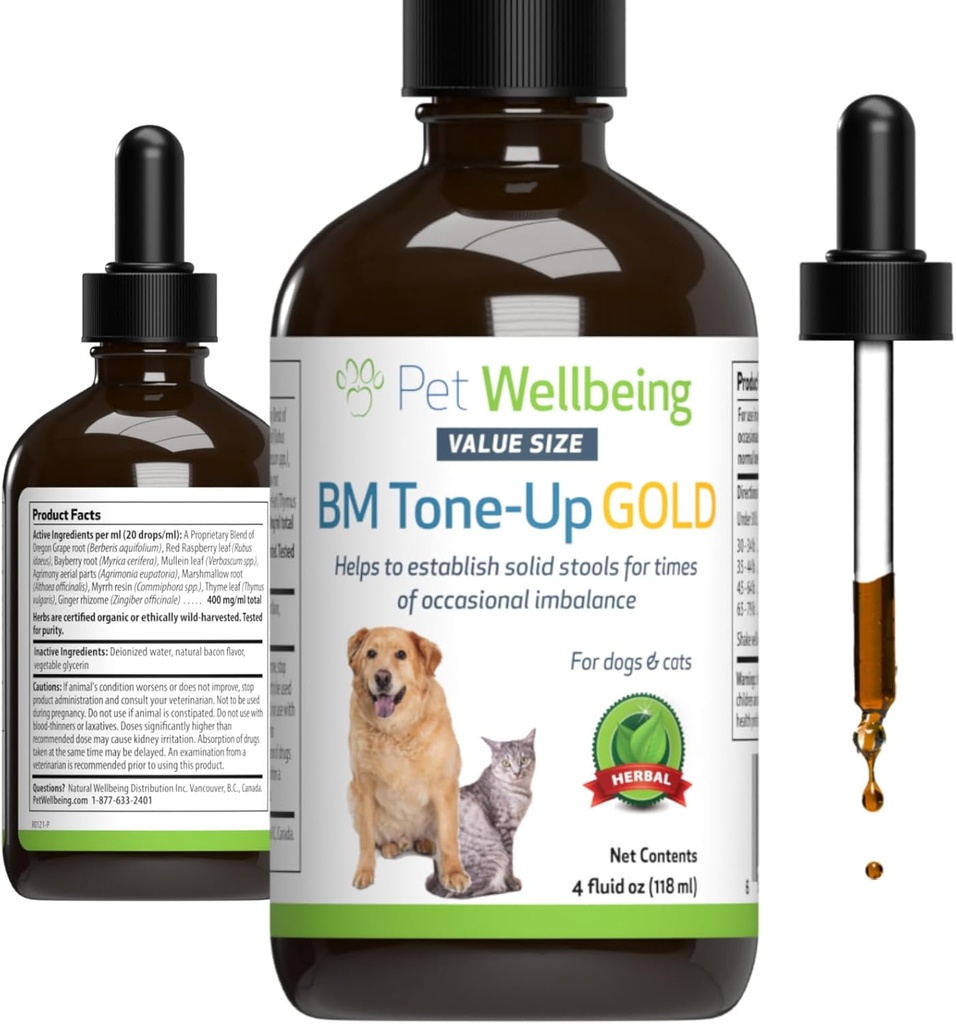 Pet Wellbeing BM Tone-Up Gold for Dogs & Cats - Supports Healthy Digestive Function, Solid Stools, Normal Bowel Movements, Bayberry - Veterinarian-Formulated Herbal Supplement 4 oz (118 ml)