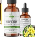 Mullein Tincture - Lungサポート&呼吸器ウェルネスのためのオーガニックムレインドロップ - アメリカ製 - 2 Flオズ