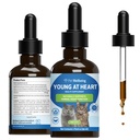 猫のための心で若くペット - Vet-Formulated - 心臓の健康、循環器&心血管系、ホーソーン、マザーワート、シサンドラ - ハーブサプリメント2オンス(59ml)