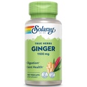SOLARAYジンジャールート1100mg | ヘルシー消化、関節と動きと胃の不快なサポート | 全ルート | GMO&ヴィーガン | 100 VegCaps