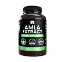 ピュアの元のINGREDIENTS Amlaのエキス(365のカプセル)マグネシウムか米の注入口無し、常に純粋、実験室は確認しました