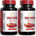 URIC Acid Support - Tart Cherry, Celery Seed, Turmeric & More, Uric Acid Complex Supplement, Support Healthy Uric Acid Level - 2 Bottles 120 Capsules