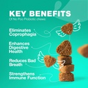 No Poo Chewables for Dogs - Enzymes, Dog Probiotics for Digestive Health - Canine Digestive, Gut & Immune Health Supplement