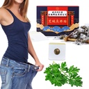 有効な古代の治療法の健康な腹の餌、Mugwort Navelのステッカー、Wormwoodの腹ボタン パッチ、女性および人のための草のウエストの餌
