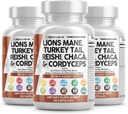 きれいなNutraceuticalsのライオンのマネ20in1のマッシュルームはトルコの尾ReishiのCordyceps Chaga Maitake Meshima PoriaのココスシイタケOyster Porcini Enoki - 3Packと補います
