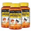 MASON NATURAL 健康な子供は繊維-健康な消化機能、改良された腸の健康、60 のChewables のプロバイオティックをからかいます(3)のパック